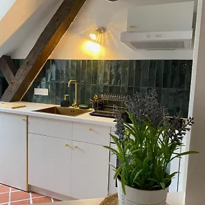 Duplex D'antan Appartement Rennes